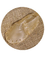 OS Chaussure